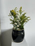 Black Ceramic Vase