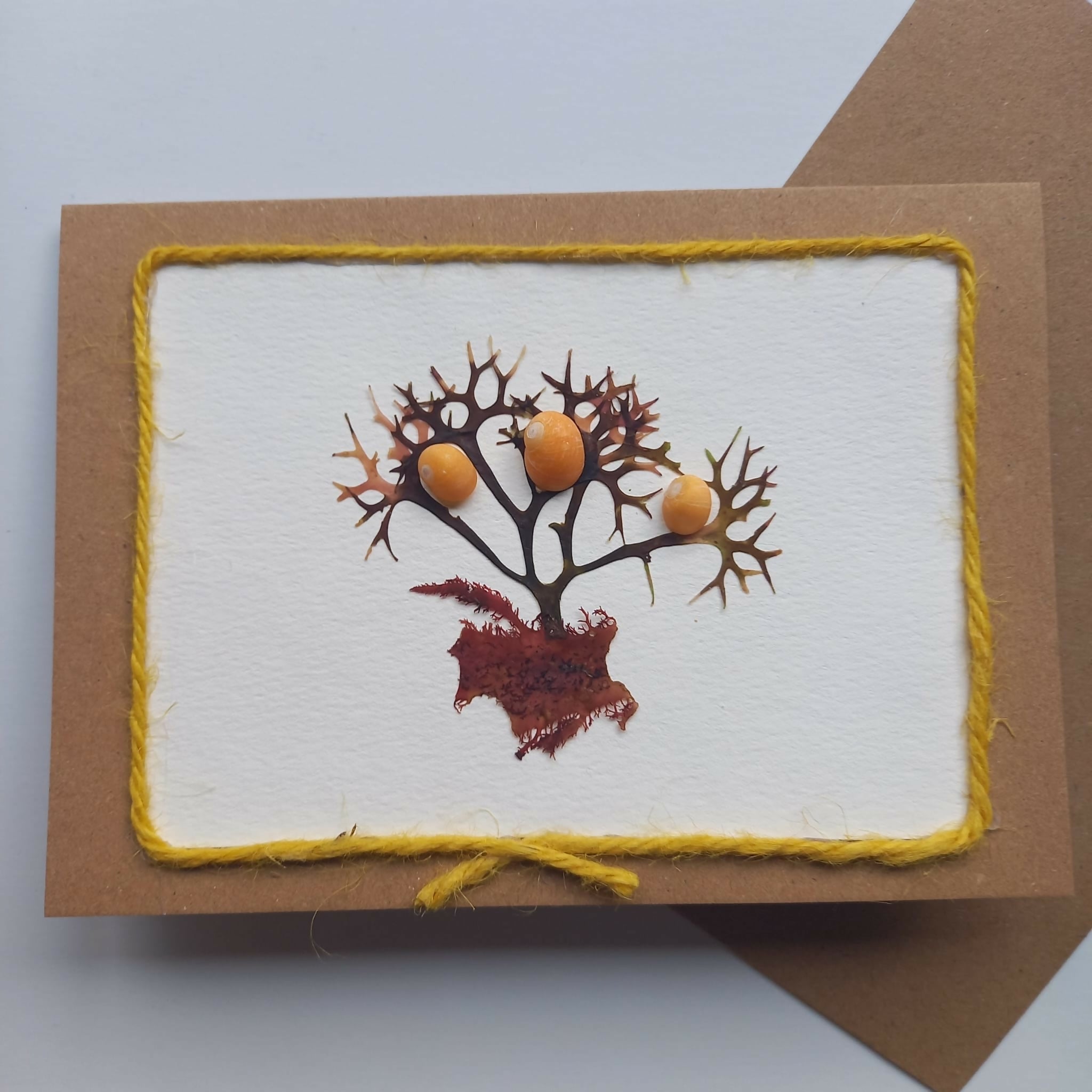 Real Pressed Seaweed Card