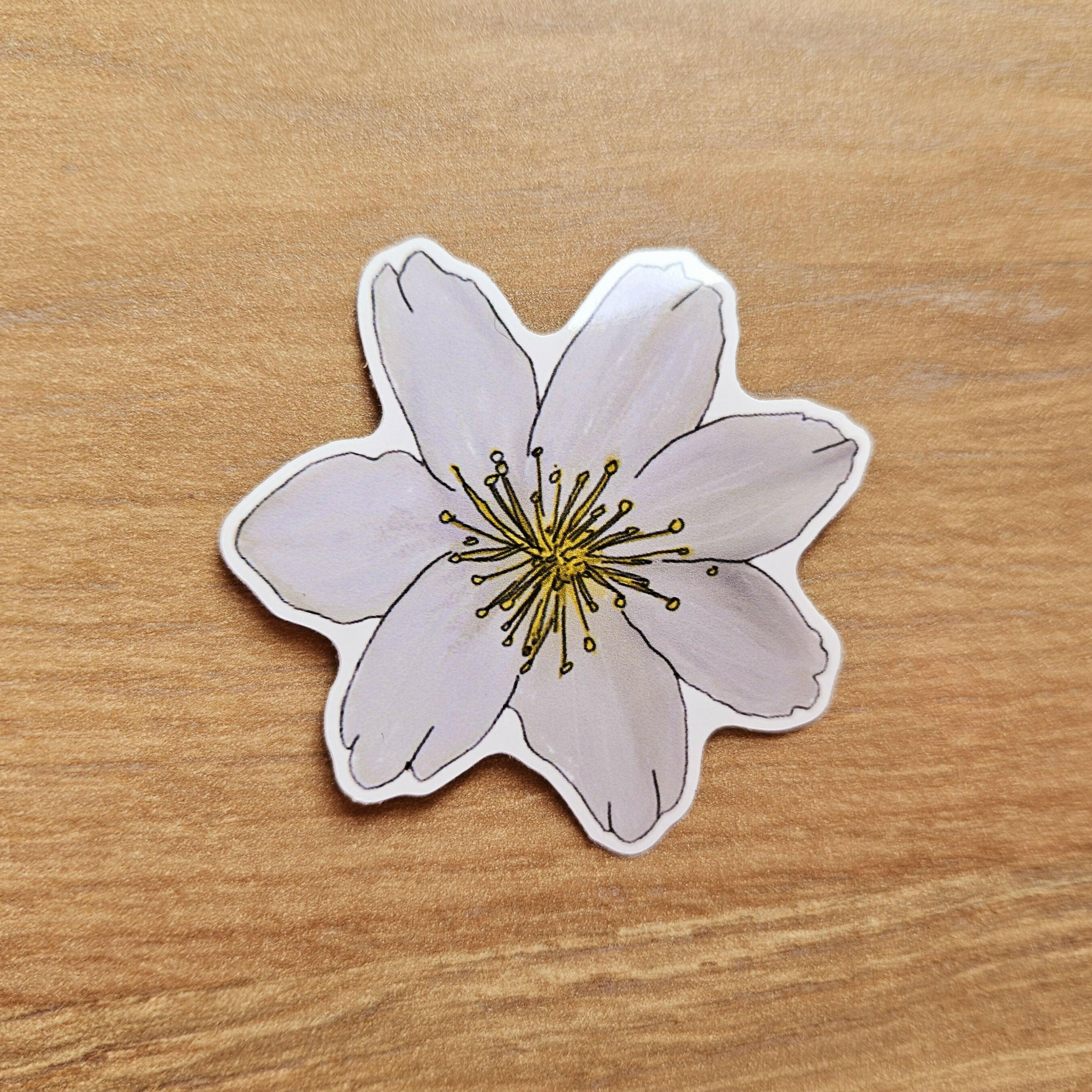 Yorkshire Wildflowers Vinyl Stickers