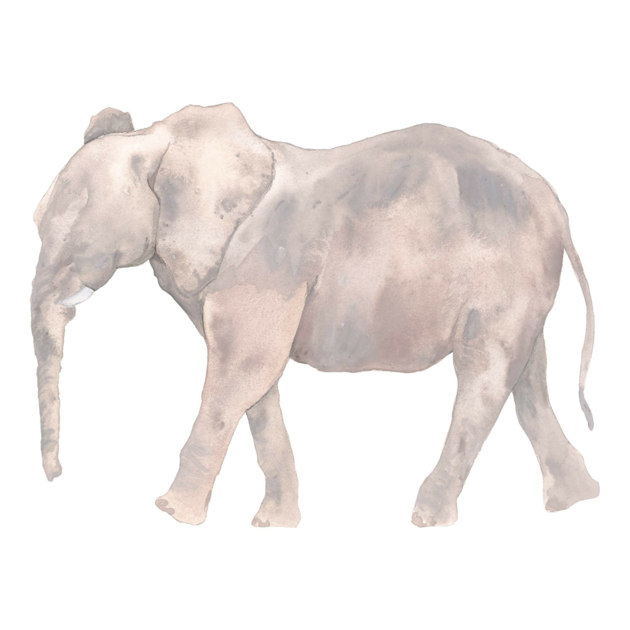 Elephant Giclée Print