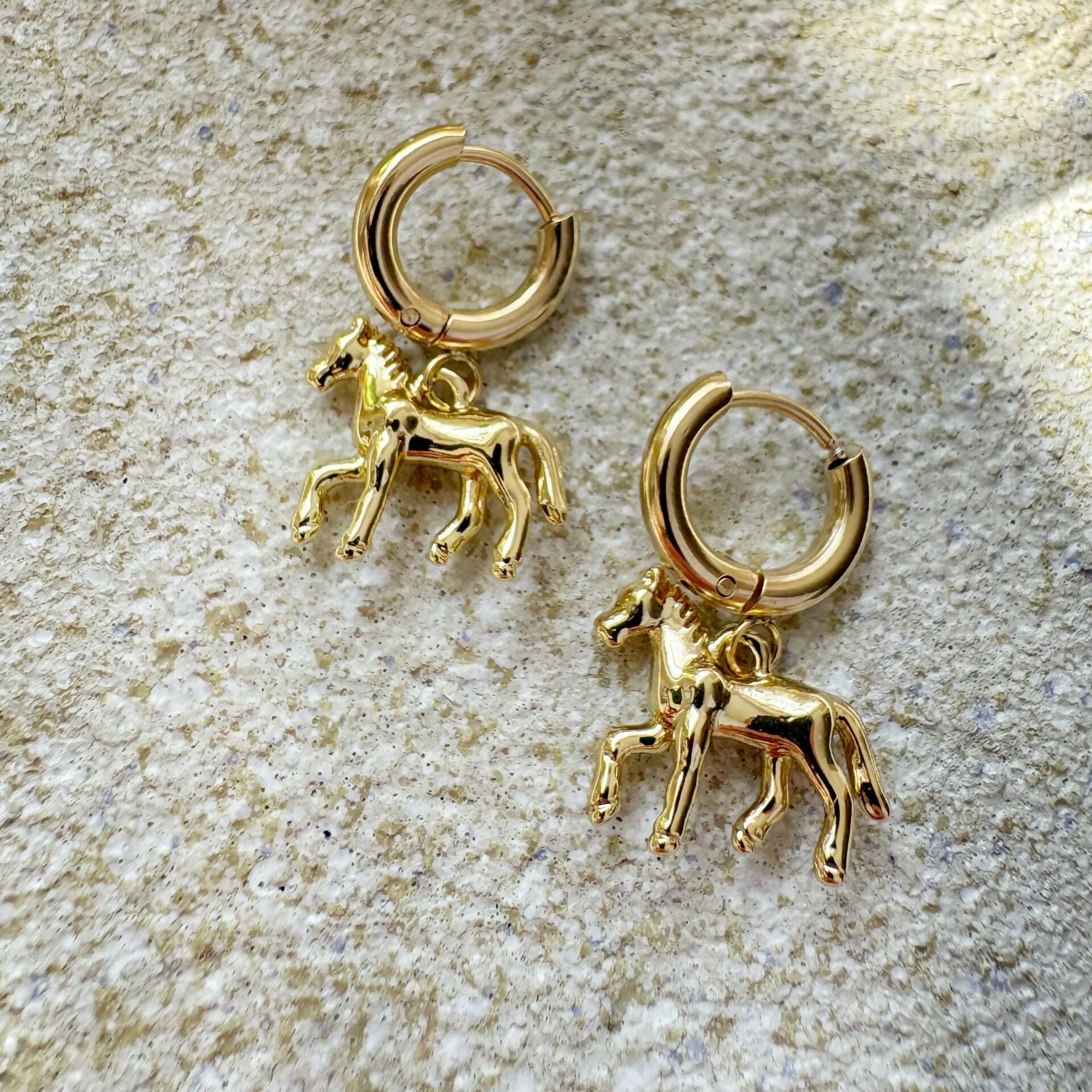 Wild Horse Hoops