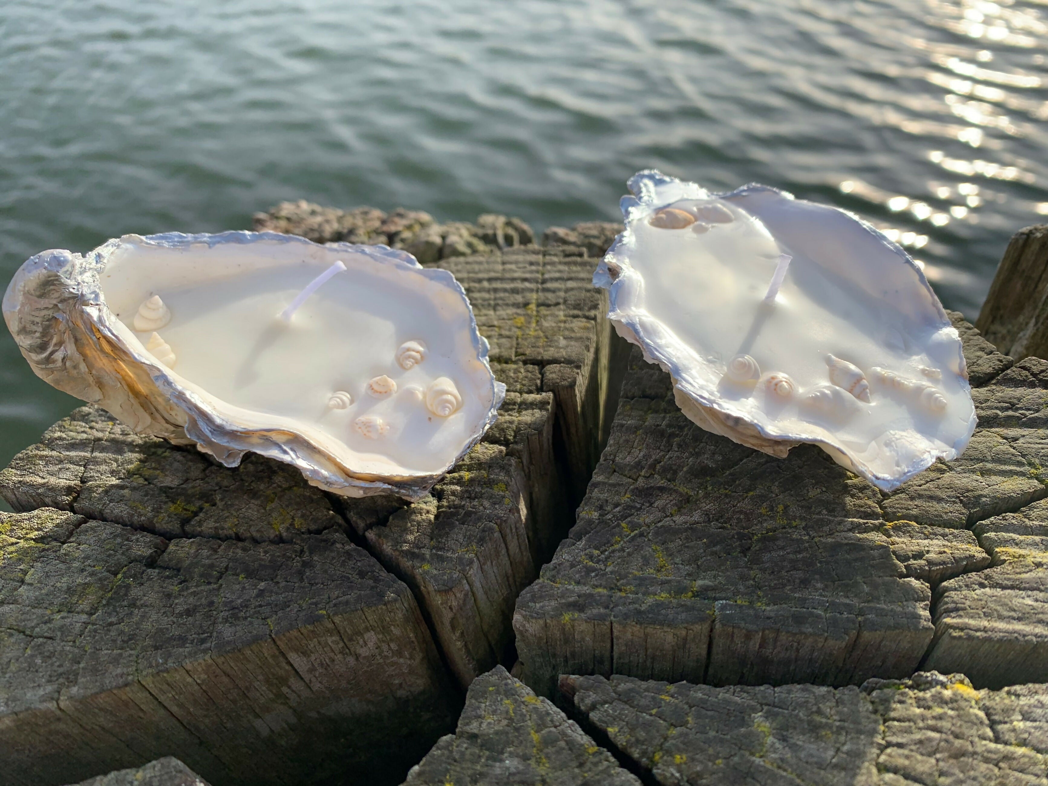 Oyster Shell Candle