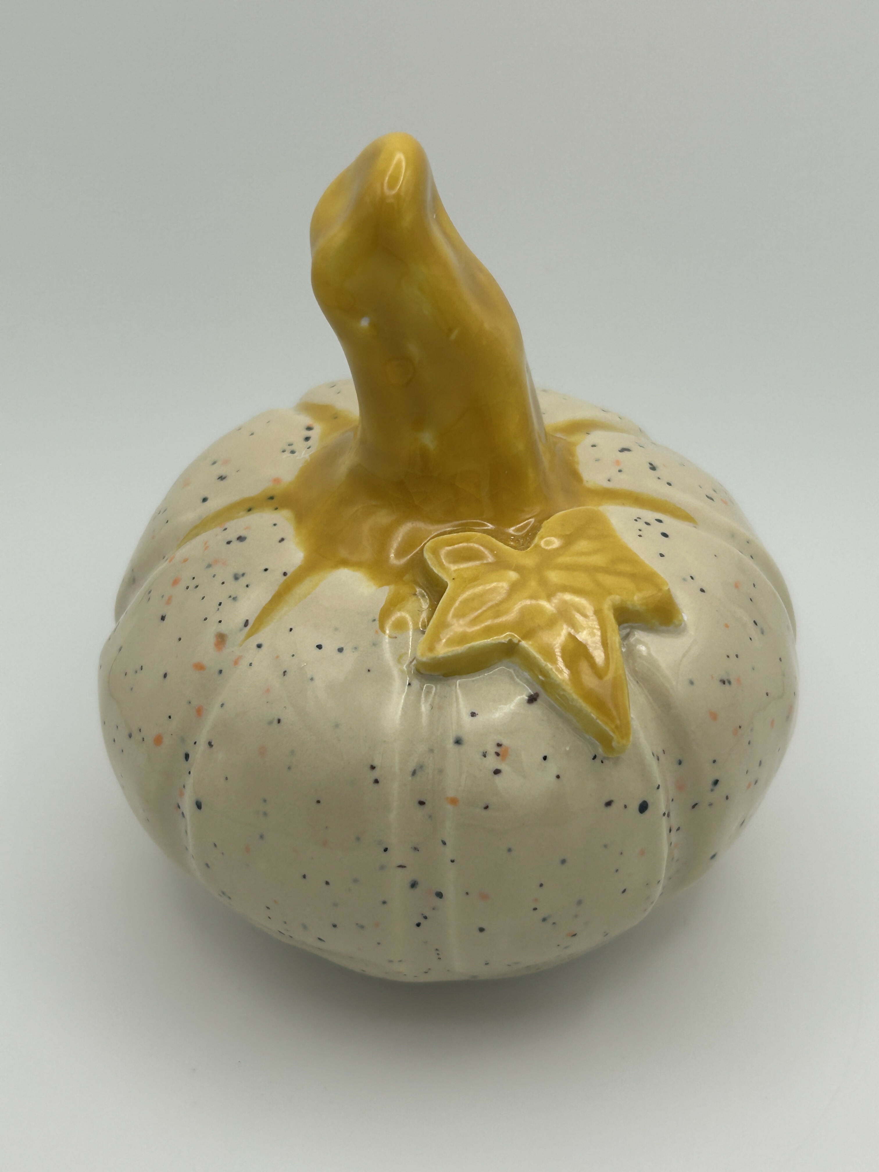 Small Speckled Pumpkin