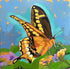 Western Tiger Swallowtail Yellow Butterfly - Original Acrylic Painting