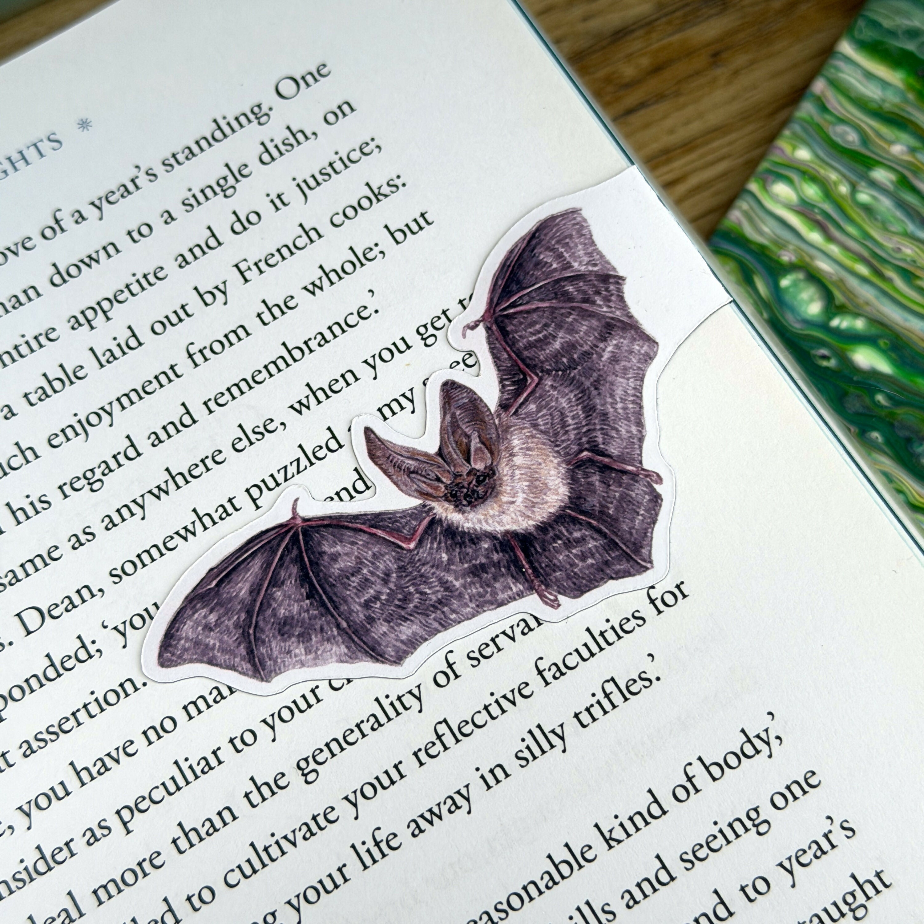 Whiskered Bat - Matt Magnetic Bookmark