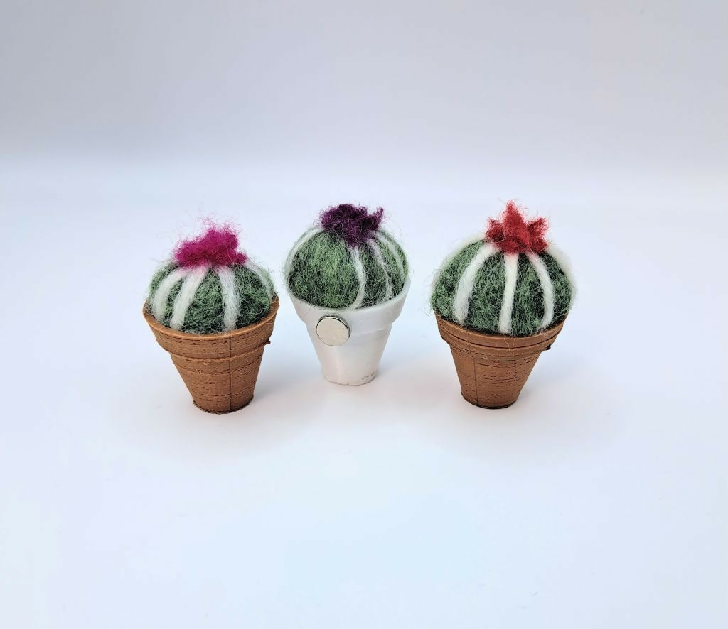 Cacti