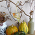 Robin and Snowdrop Hanging Wooden Decoration