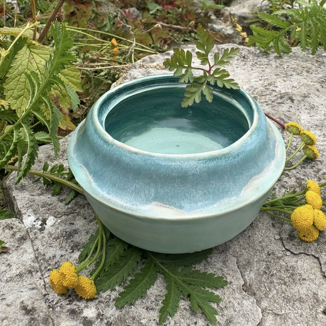 Caribbean Beach Bowl