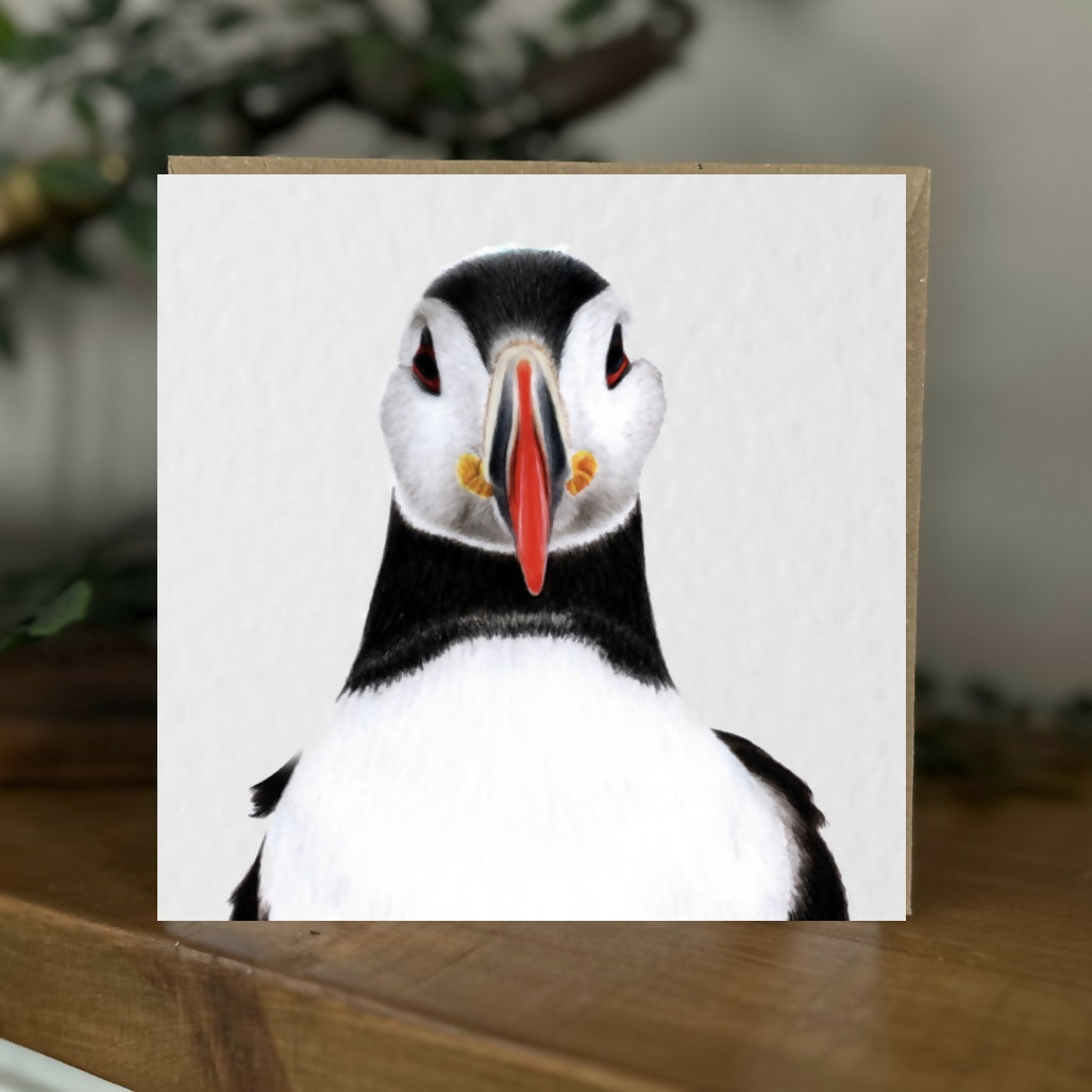 Puffin Bird Greeting Card – Coastal Wildlife Art – Blank Inside