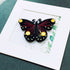 Handmade Paper Quilling Butterfly with White Framed