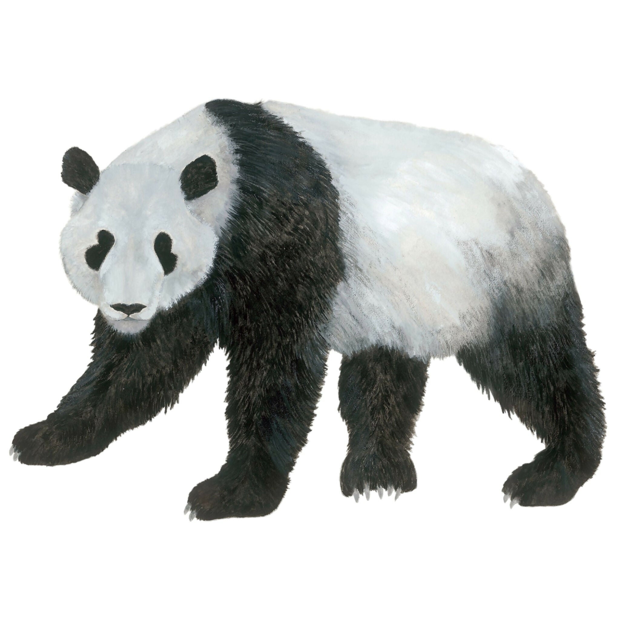 Panda Giclée Print