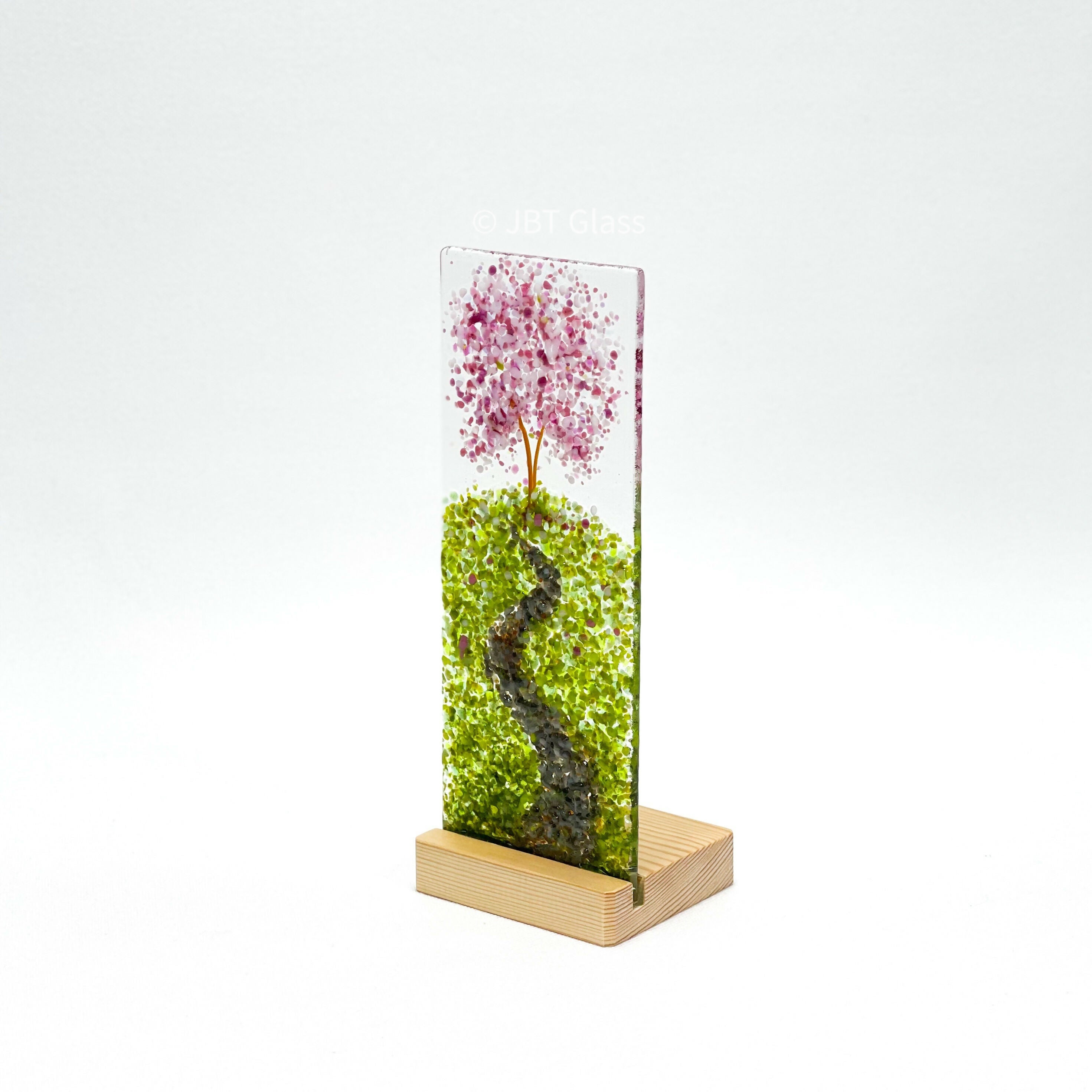 Cherry Blossom on Hill Med Plinth