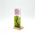 Cherry Blossom on Hill Med Plinth