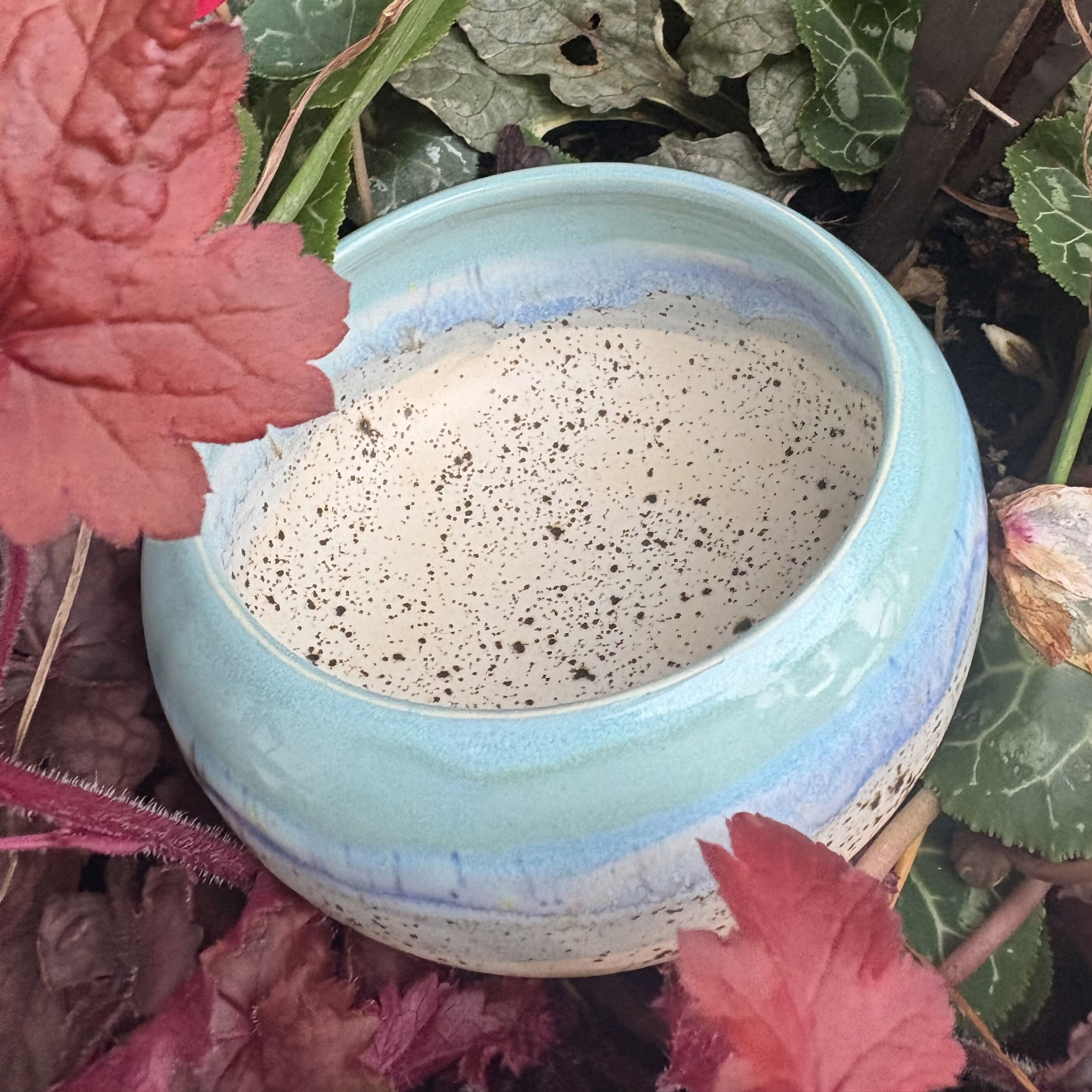 Speckled Beach Bowl