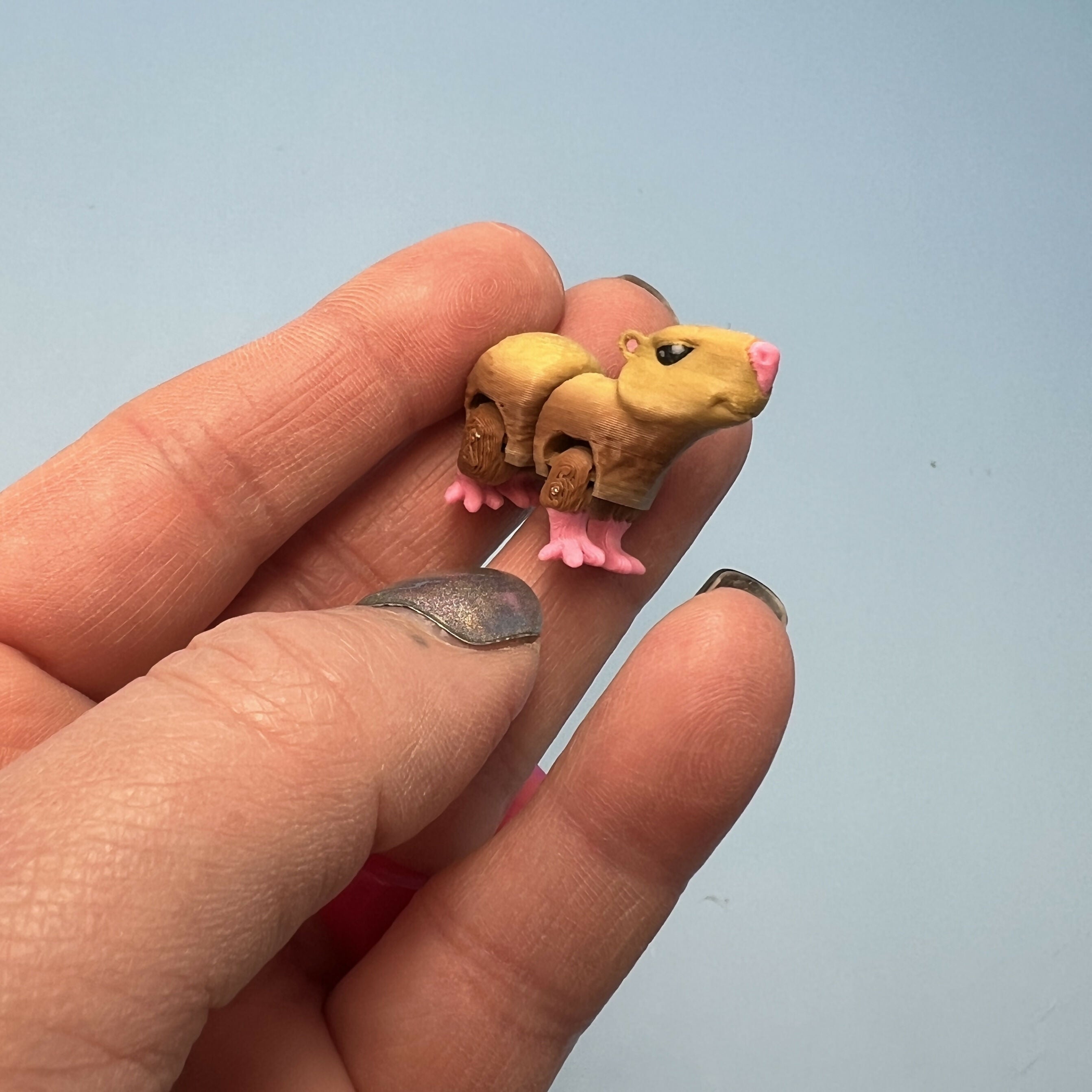 3D Printed Micro Miniatures: Articulated Sensory Fidget Animal friends Manatee, Skunk, Hedgehog, Spider, Capybara, Crab, Sloths 3-5cm