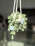 Crochet Hanging Basket
