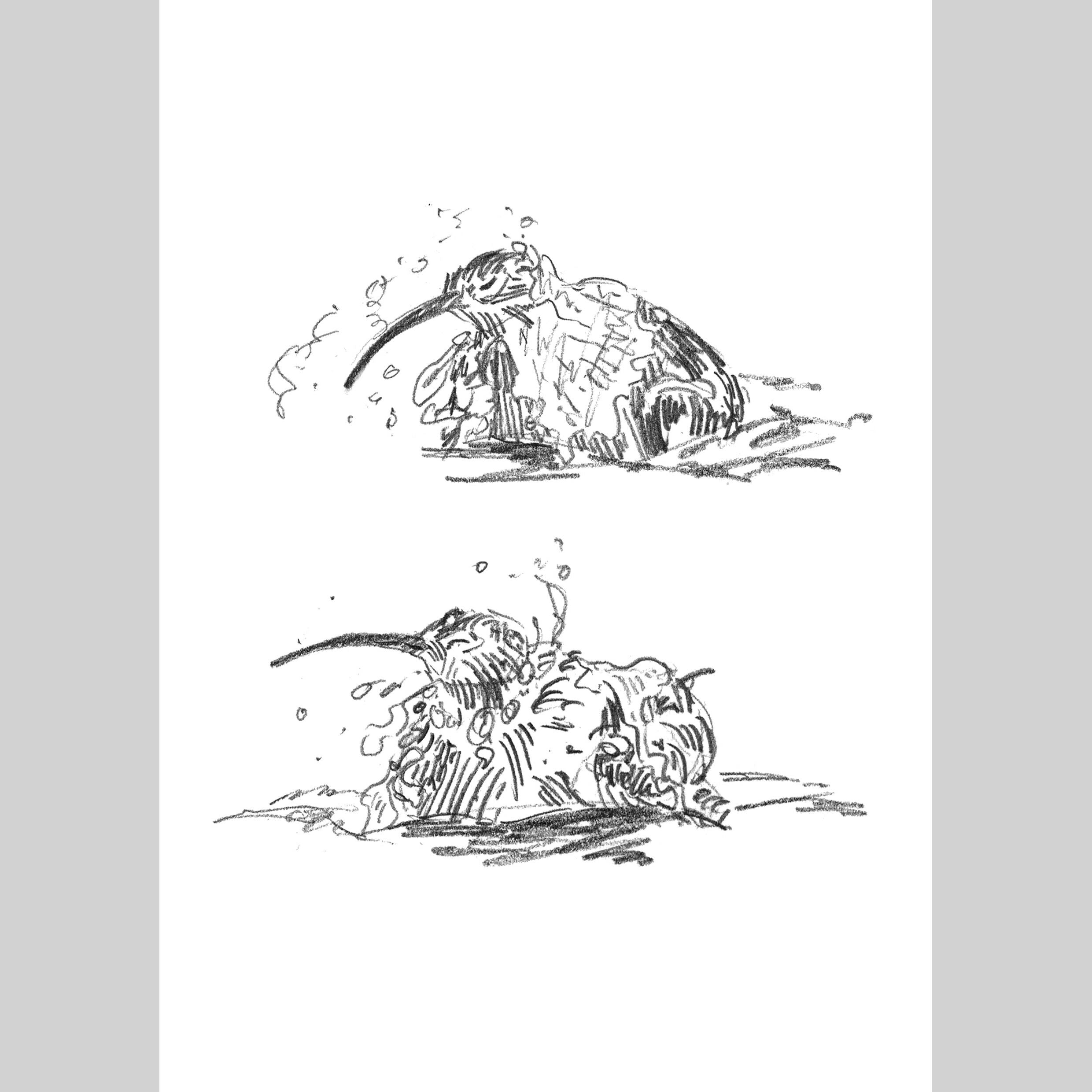 Curlew Sketches - A5/A6 Prints