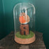 Lovely Glass Dome Featuring A Wooden Robin Sat On Top Of A Antique Letter R Printing Block
