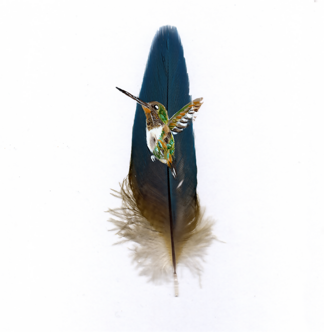 Hummingbird Feather Painting