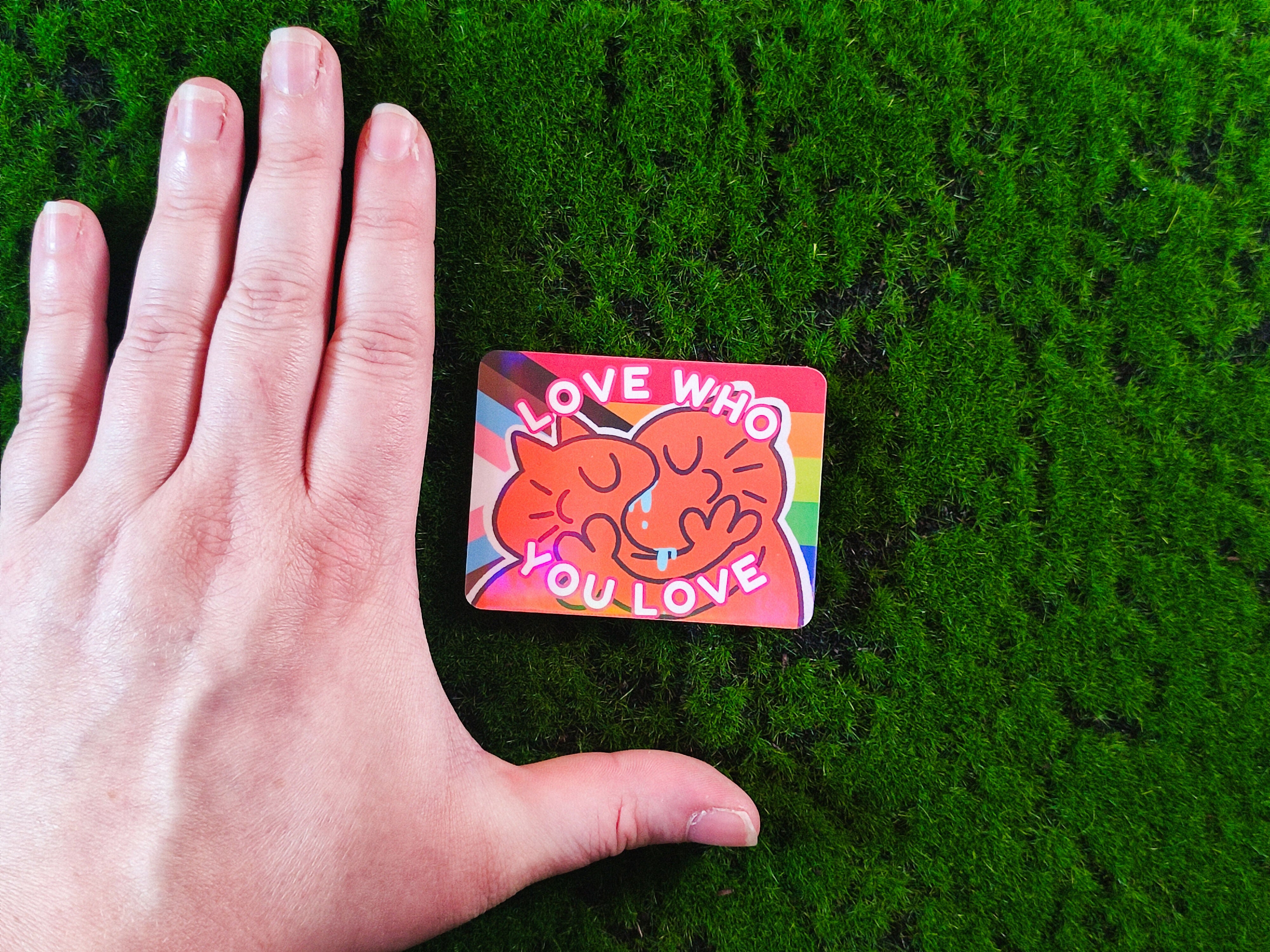 Love Who You Love Vinyl Sticker