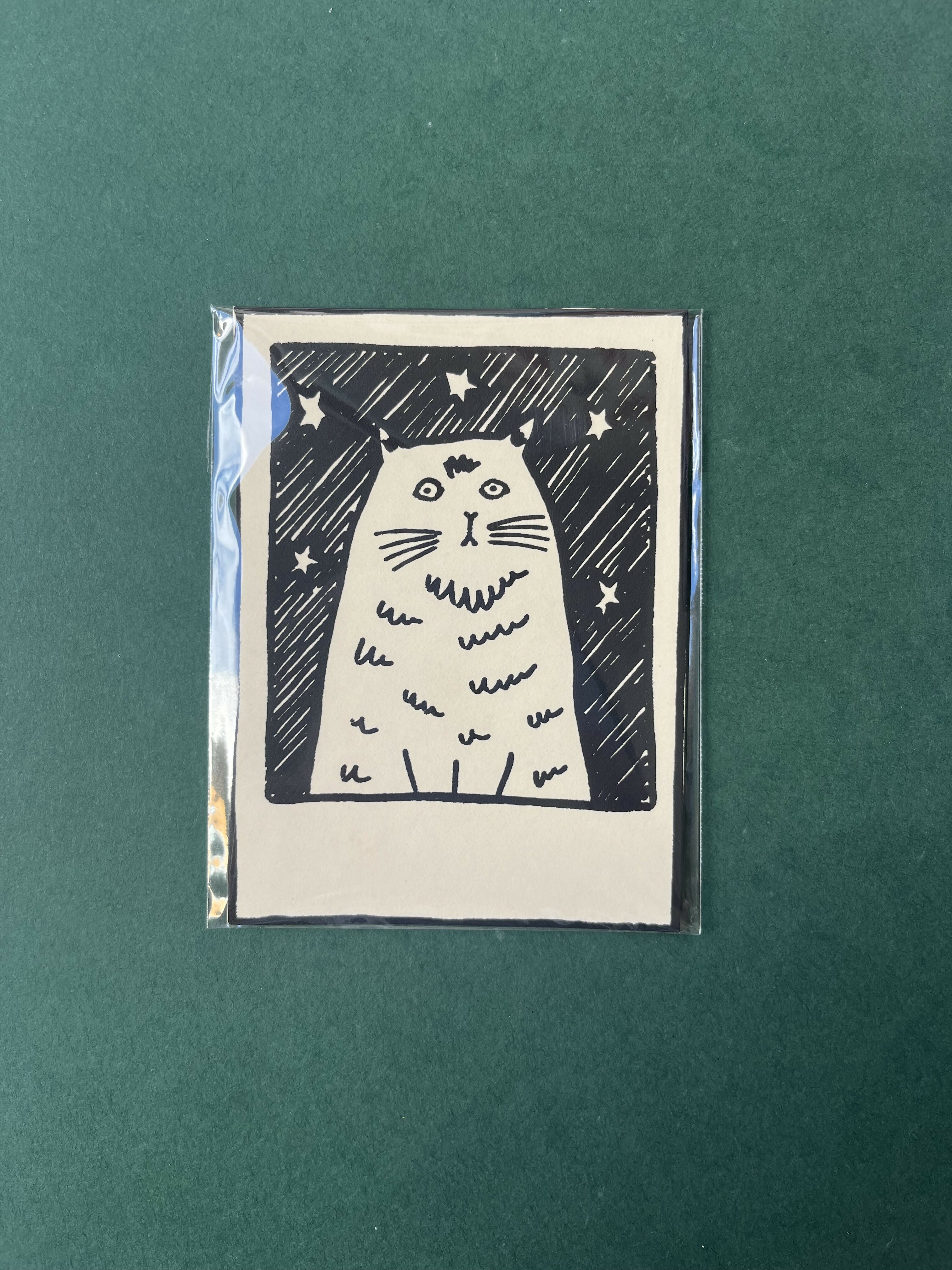 Pet Polaroid Print - Star Cat