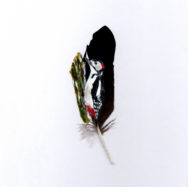Woodpecker Feather Painting