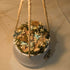 Floral Arrangement in Stone Hanging Pot