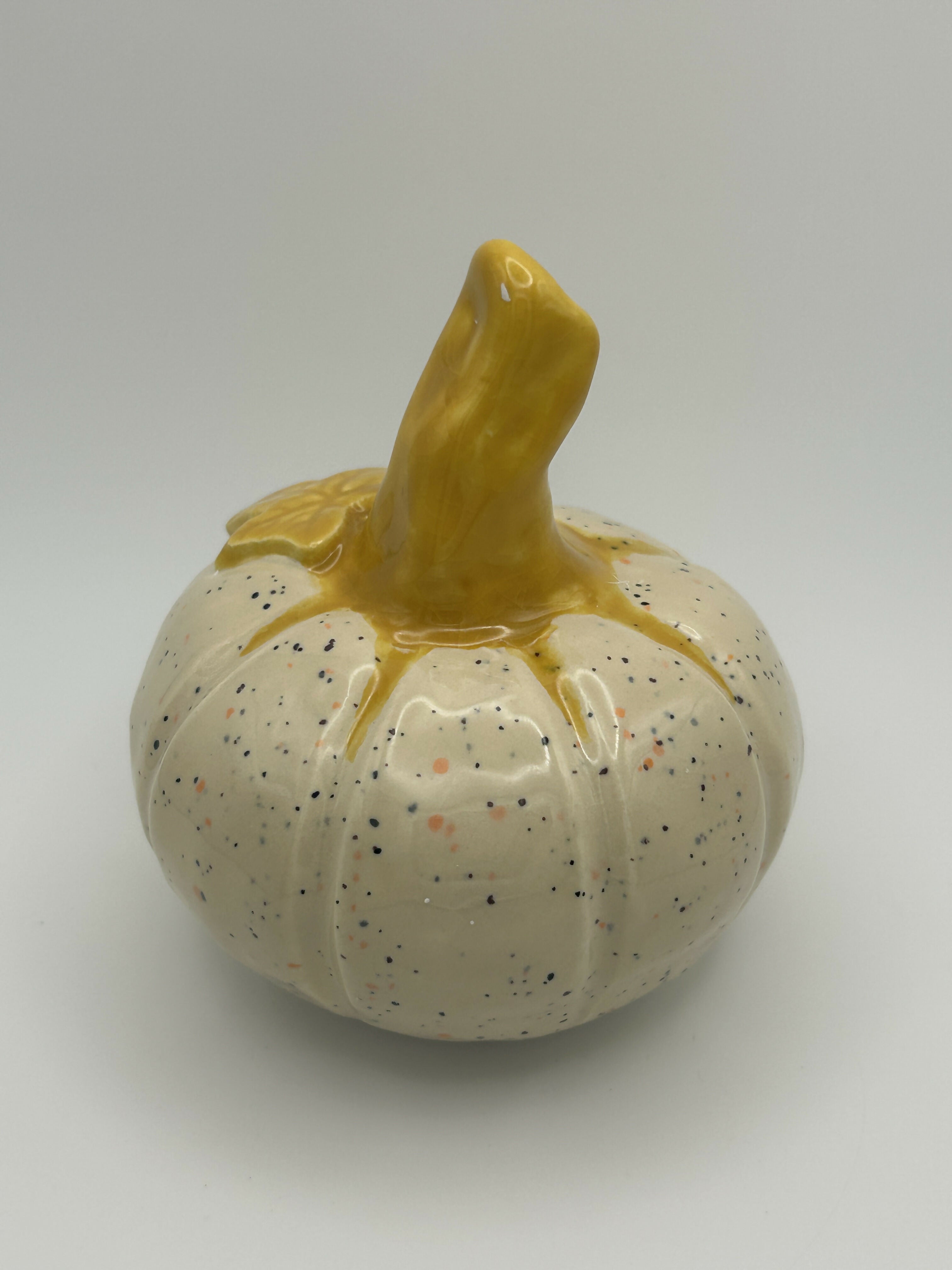 Small Speckled Pumpkin