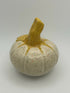 Small Speckled Pumpkin