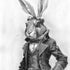 hare