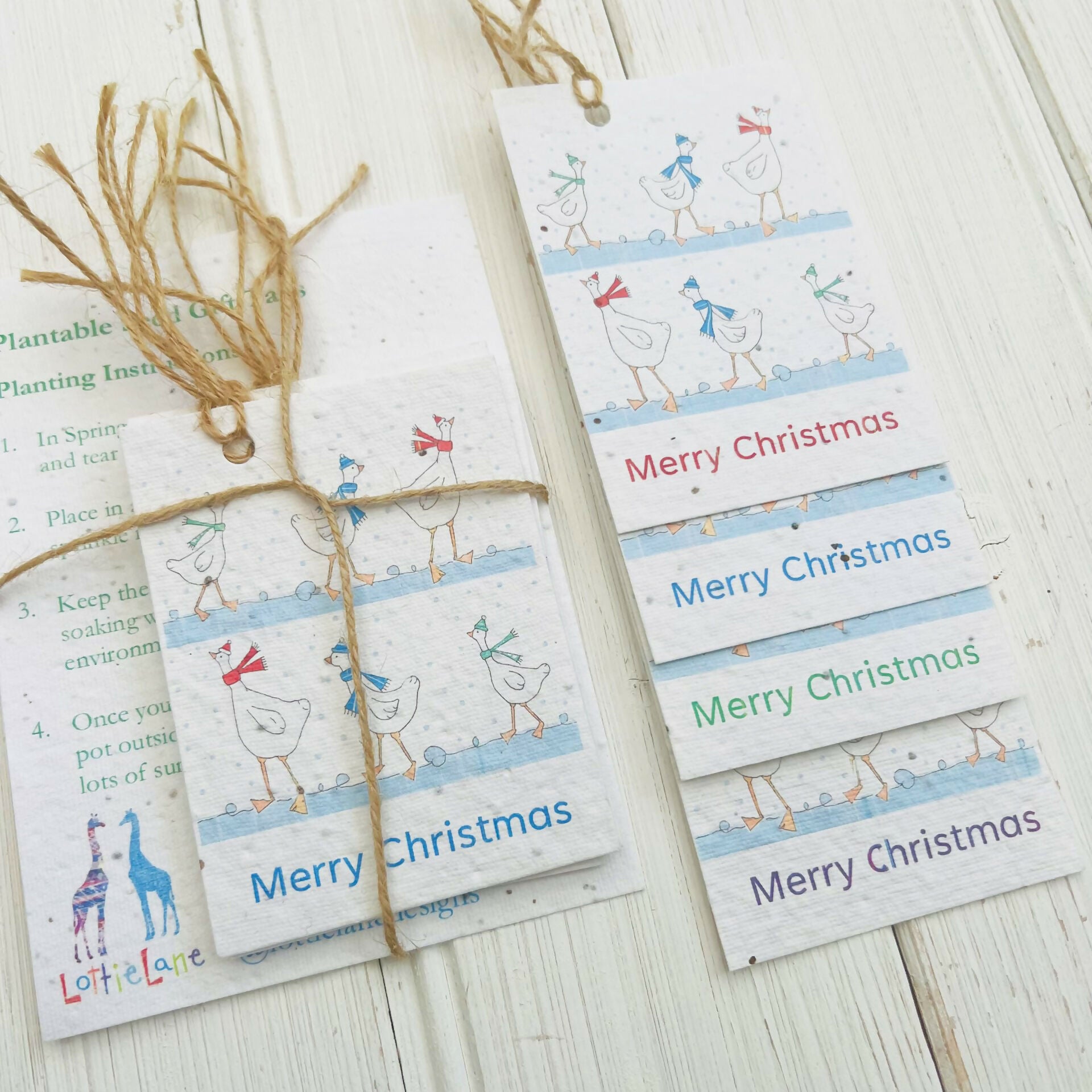 Christmas Seed Gift Tags -Festive Geese