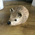 Ceramic Hedgehog
