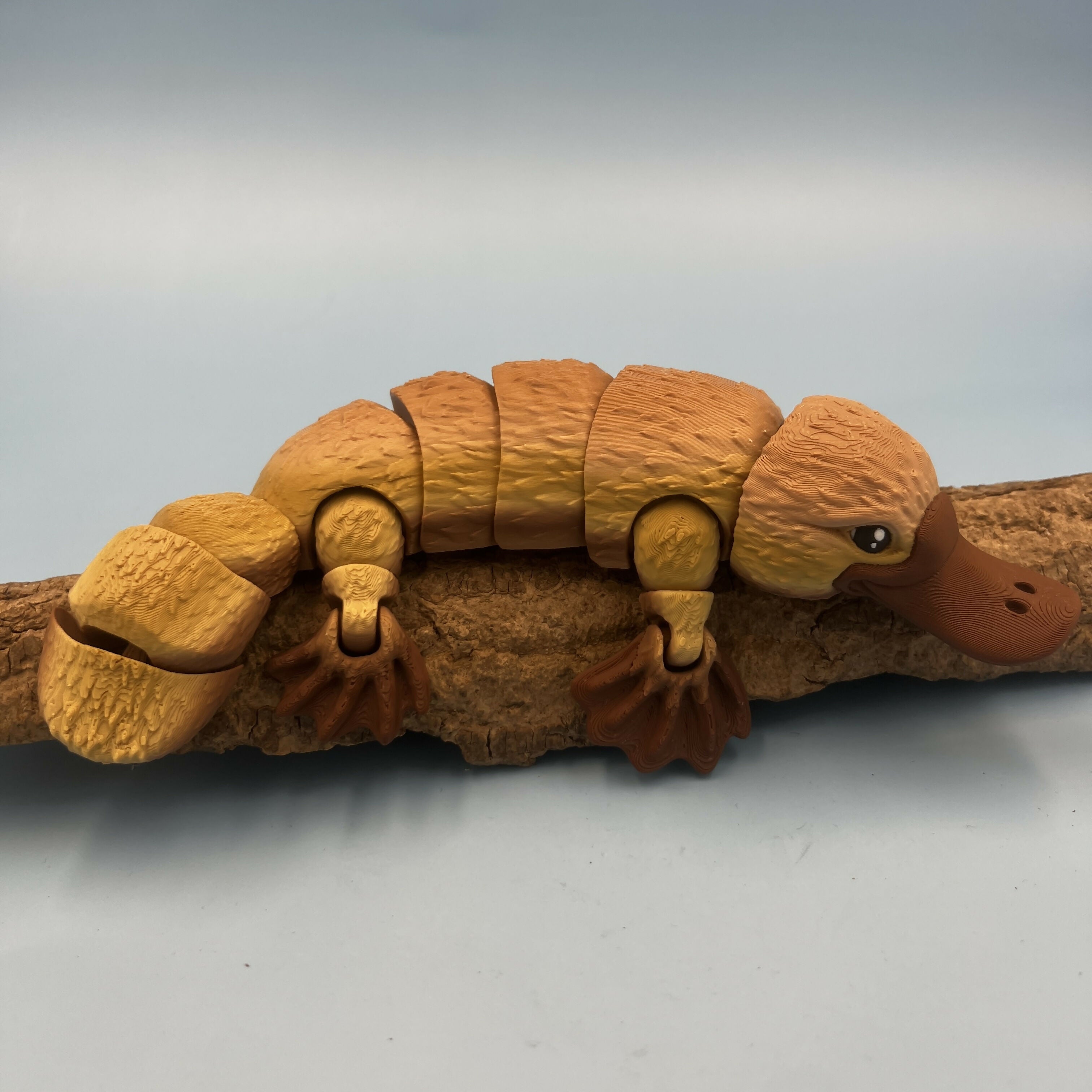 3D Printed LARGE: Articulated Sensory Fidget Animals friends Platypus 24cm