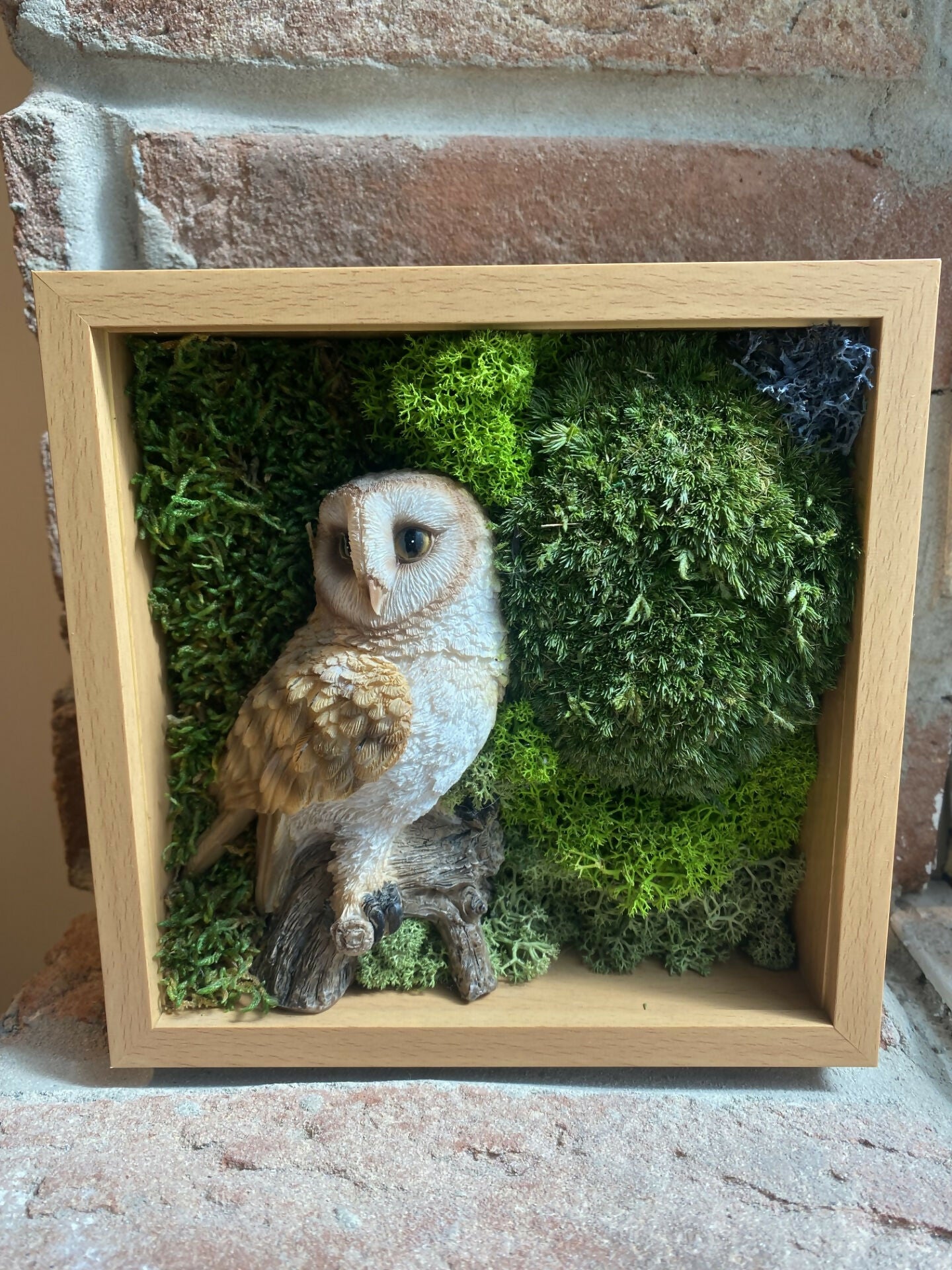 British Barn Owl