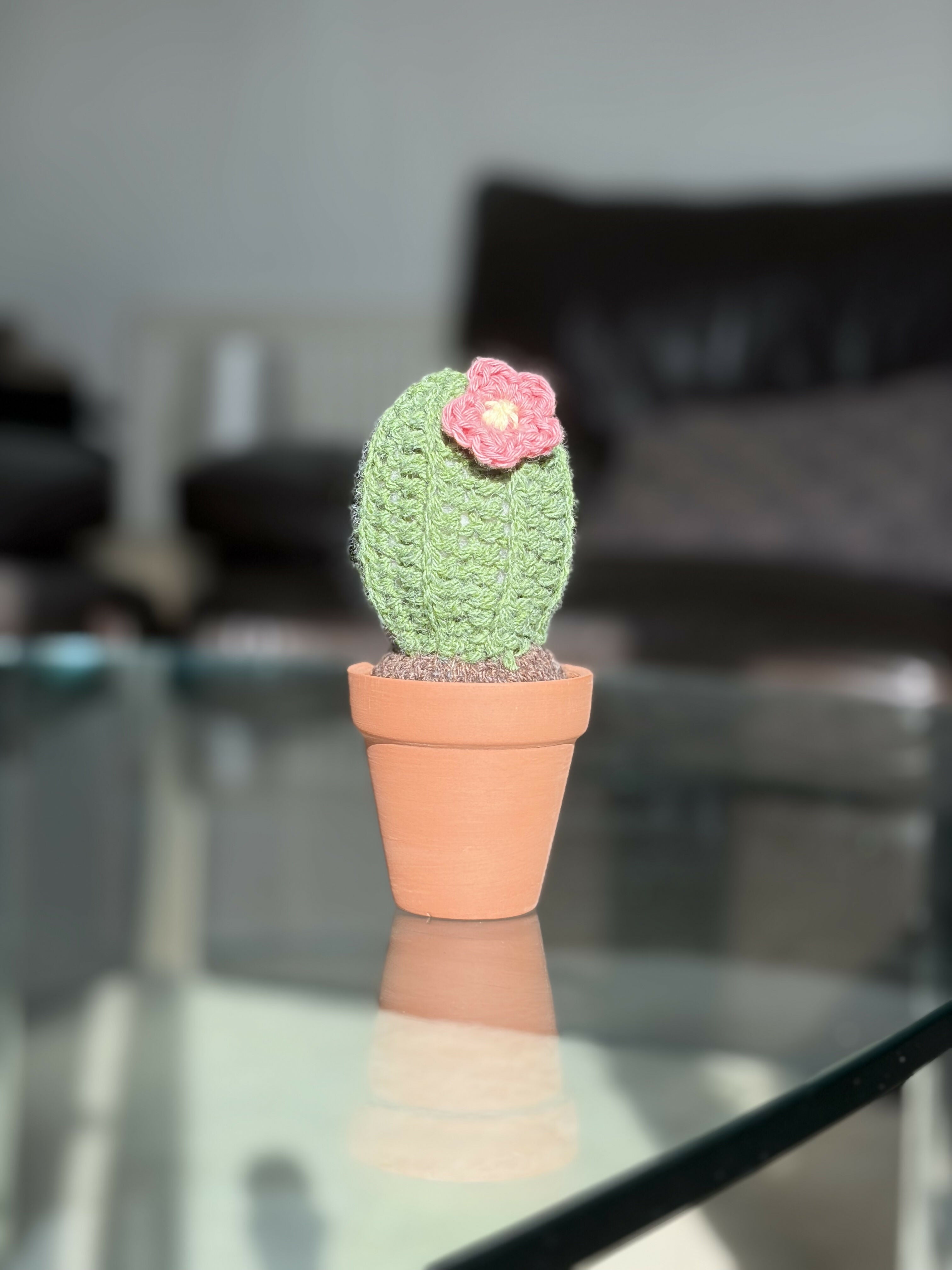 Crochet Potted Cactus
