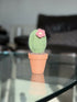 Crochet Potted Cactus