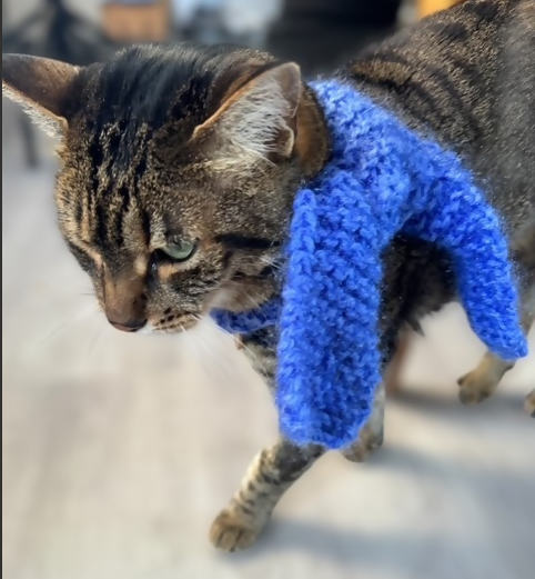 PET SCARF, COSY SHIMMERY BLUE - CAT OR SMALL DOG