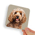 Cockapoo Beige Brown Dog Coaster