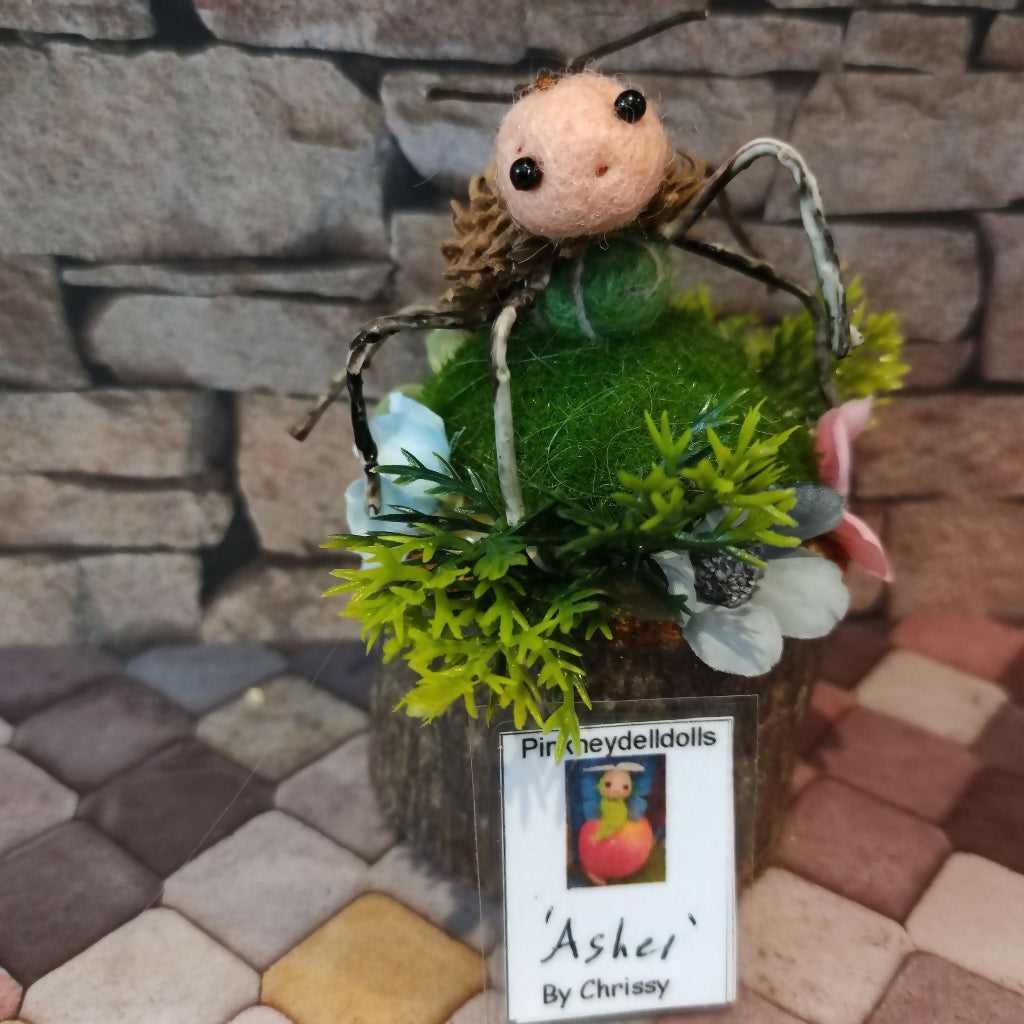 Asher