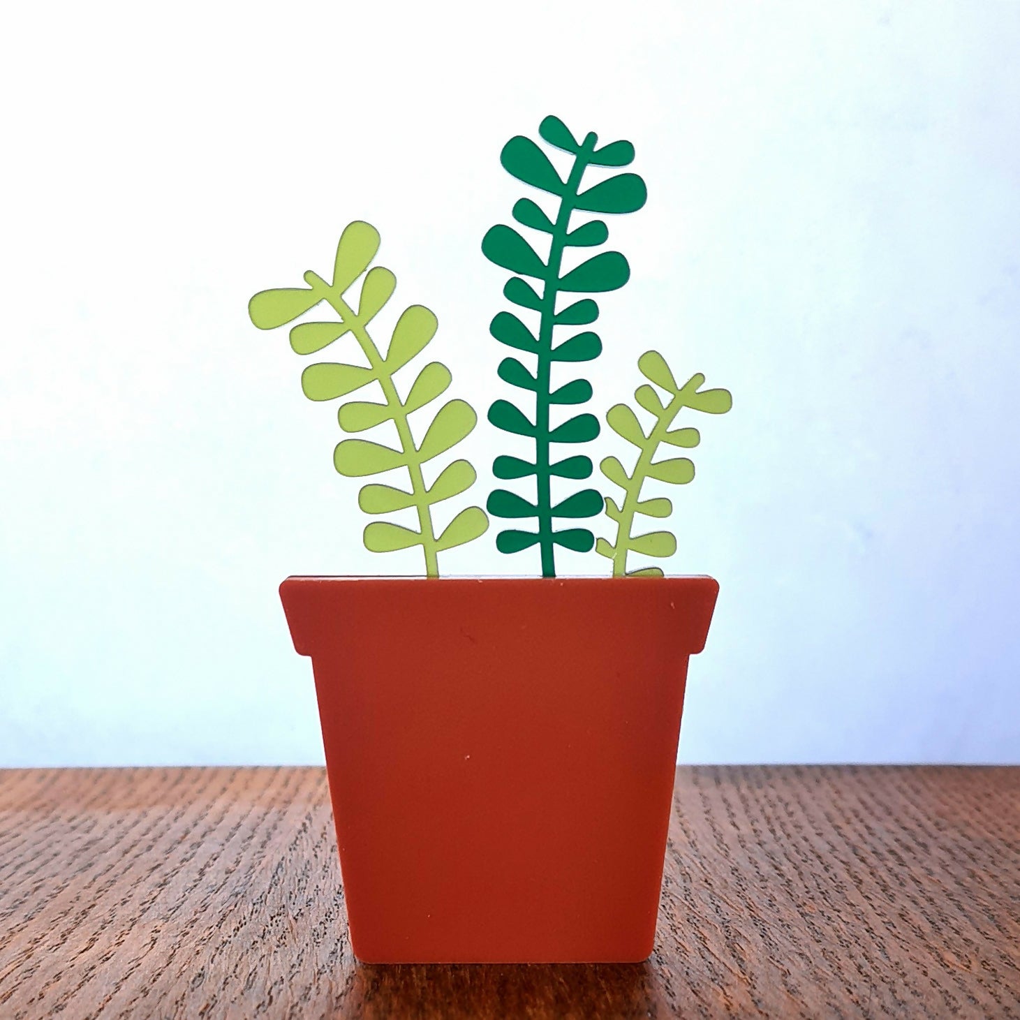 Houseplant - Shelf sitters