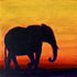 Elephant Sunset - Original Acrylic Painting