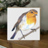 Robin Bird Greeting Card – British Wildlife Art – Blank Inside