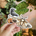 Sticker Blind Bag