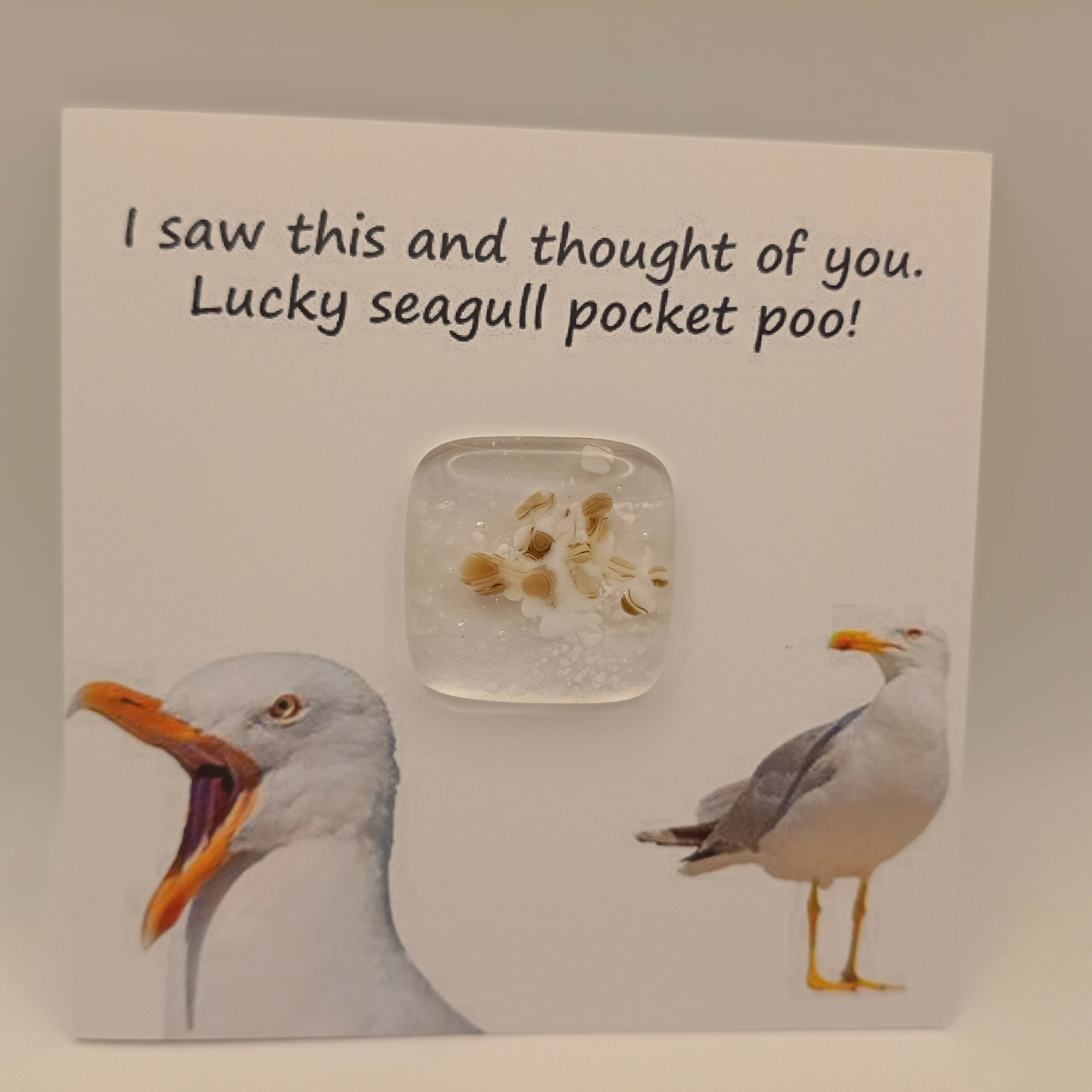 Pocket Poo Card