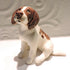 Ceramic Springer Spaniel dog sculpture, Liver and white