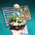 Medium Round Closed Terrarium