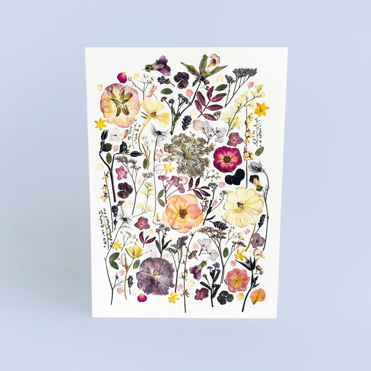 Pink & Purples Pressed Flower Print Card