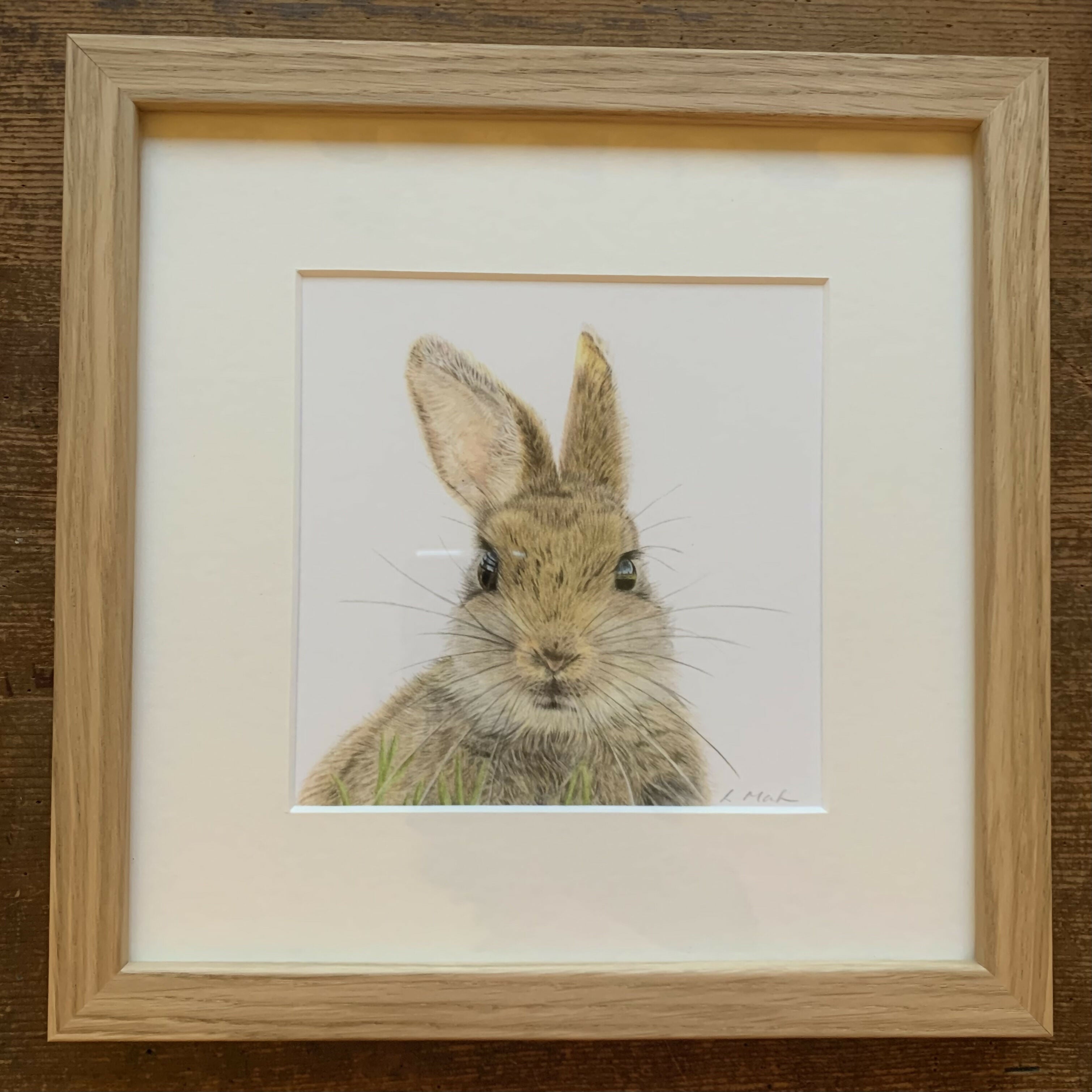 Fine Art Square Giclée Print of a Cute Baby Rabbit