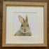 Fine Art Square Giclée Print of a Cute Baby Rabbit