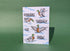 Quacking Through The Snow Duck Christmas Card